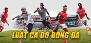 luật cá độ bóng đá