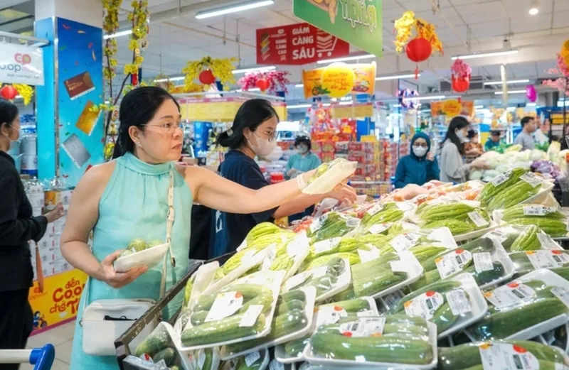 Mỗi kênh bán dưa leo có ưu nhược điểm riêng về giá, độ tươi, nguồn gốc và sự tiện lợi.
