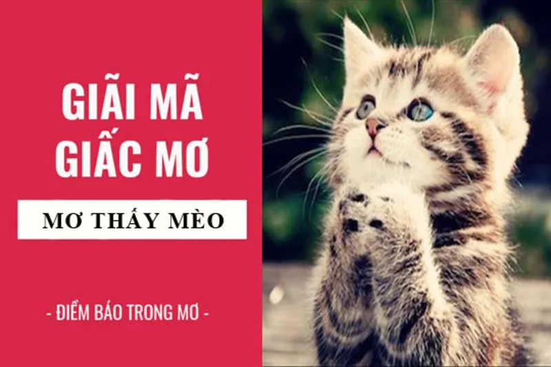 Mèo trong giấc mơ có thể tượng trưng cho trực giác, sự độc lập và cảm giác cần được bảo vệ