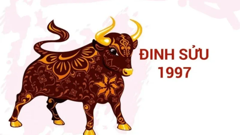 Cẩm nang phong thủy toàn diện về bản mệnh và tuổi hợp cho người sinh năm Đinh Sửu 1997.